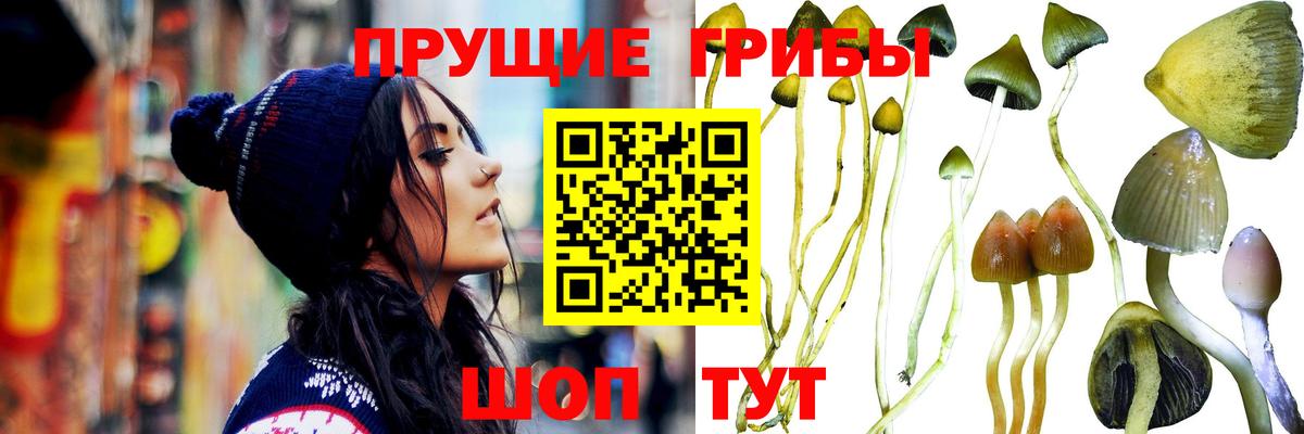 Галлюциногенные грибы MAGIC MUSHROOMS  даркнет сайт  Трёхгорный  Вход с VPN 
